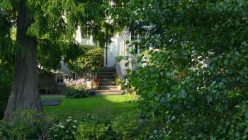 When you prioritize native plants in your yard and garden, you might be surprised at who stops by — like this fox.