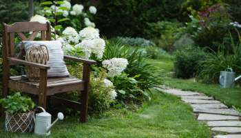 One gardener experienced the perks of a native garden when they found two local foxes cozying up in their backyard.