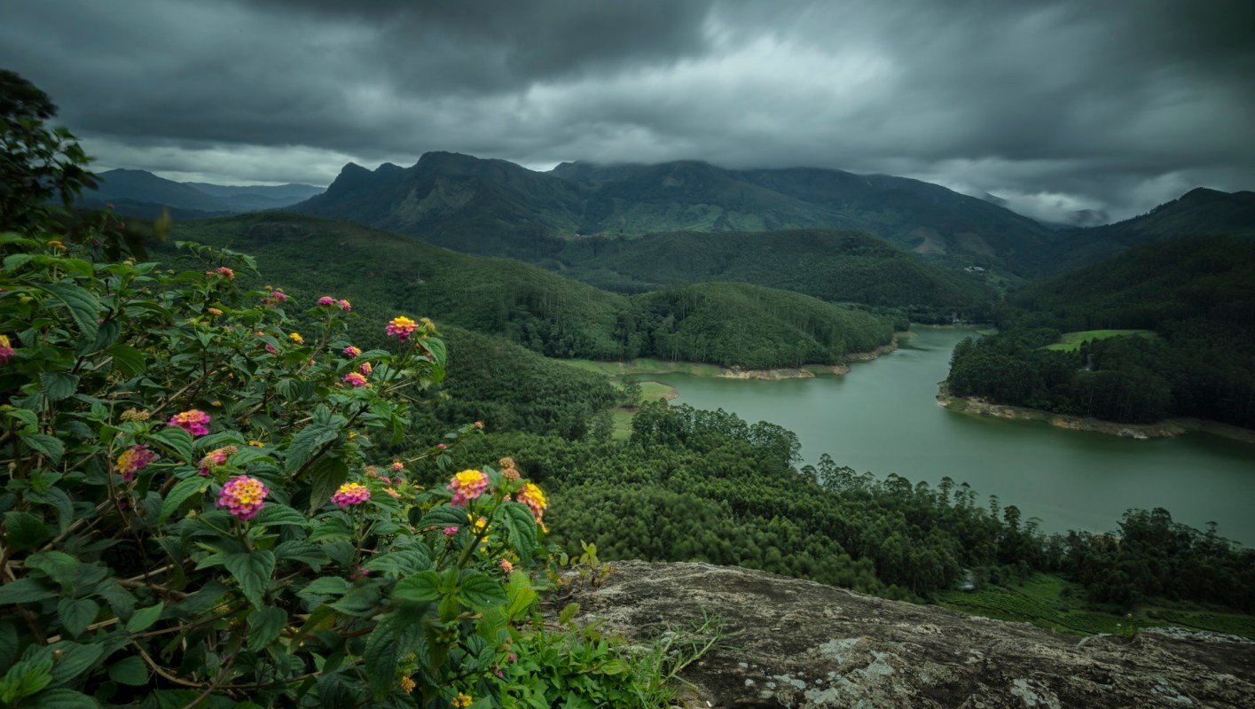 Wildlife photographers are believed to have trampled the habitat of the rare galaxy frog, putting the vulnerable amphibians at risk.