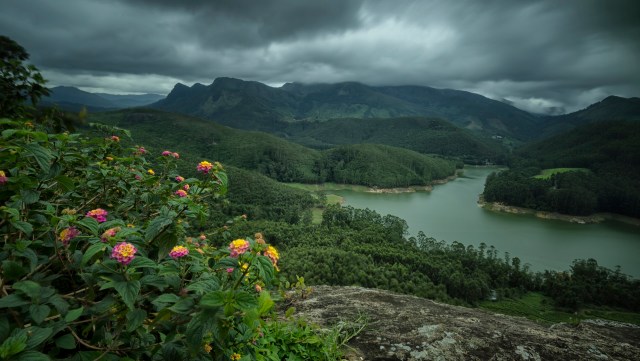 Wildlife photographers are believed to have trampled the habitat of the rare galaxy frog, putting the vulnerable amphibians at risk.