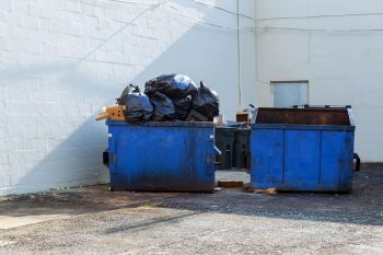 One dumpster diver highlighted the arbitrary nature of grocery store's food waste by sharing a photo of a massive haul of food.