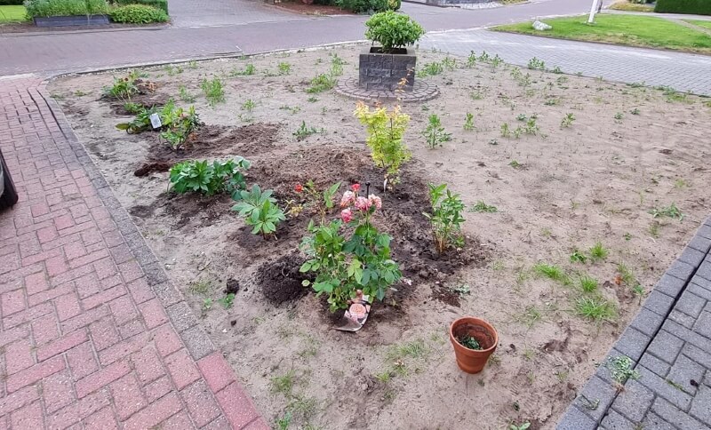 One gardener shared their incredible lawn transformation, transitioning from a barren stone monoculture to a thriving garden.