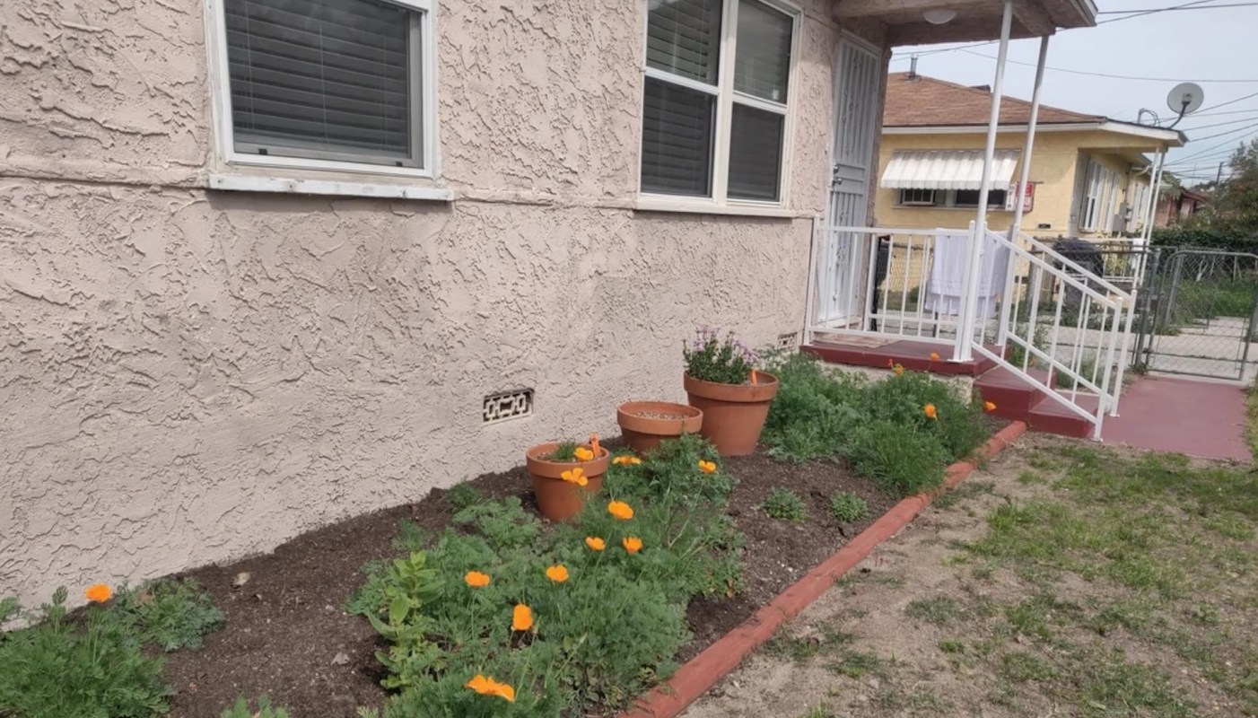 A landlord was all for their tenants creating a native yard, helping to dispel the notion that all landlords are unreasonable.