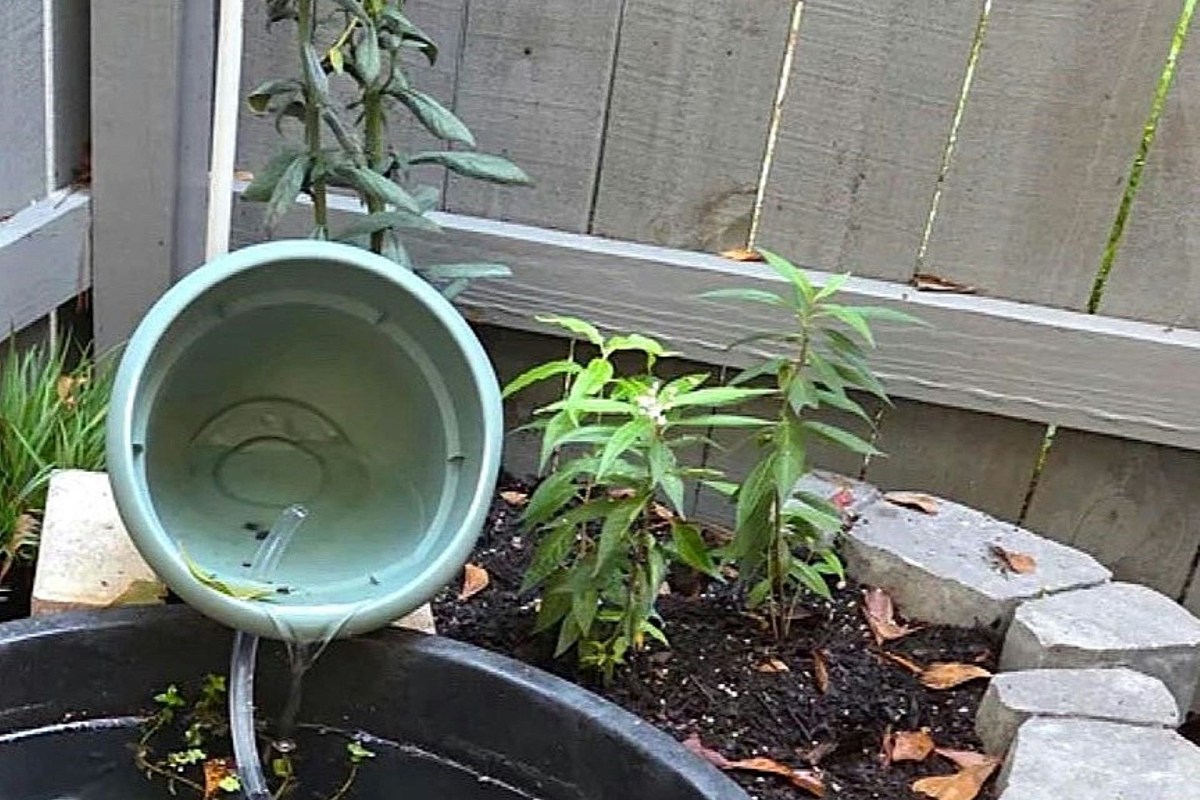 On the subreddit r/NativePlantGardening, a Redditor shared before-and-after photos of their native pond garden after just one month.