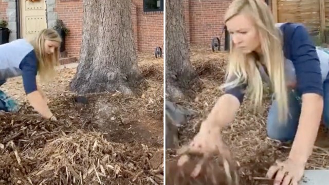 A fifth-generation farmer on TikTok explained why using landscape fabric for weed suppression is a major no-no.