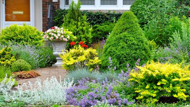 The 30-year-old garden was there long before the reviled new head of the HOA — a 20-year-old college student — took over the neighborhood.