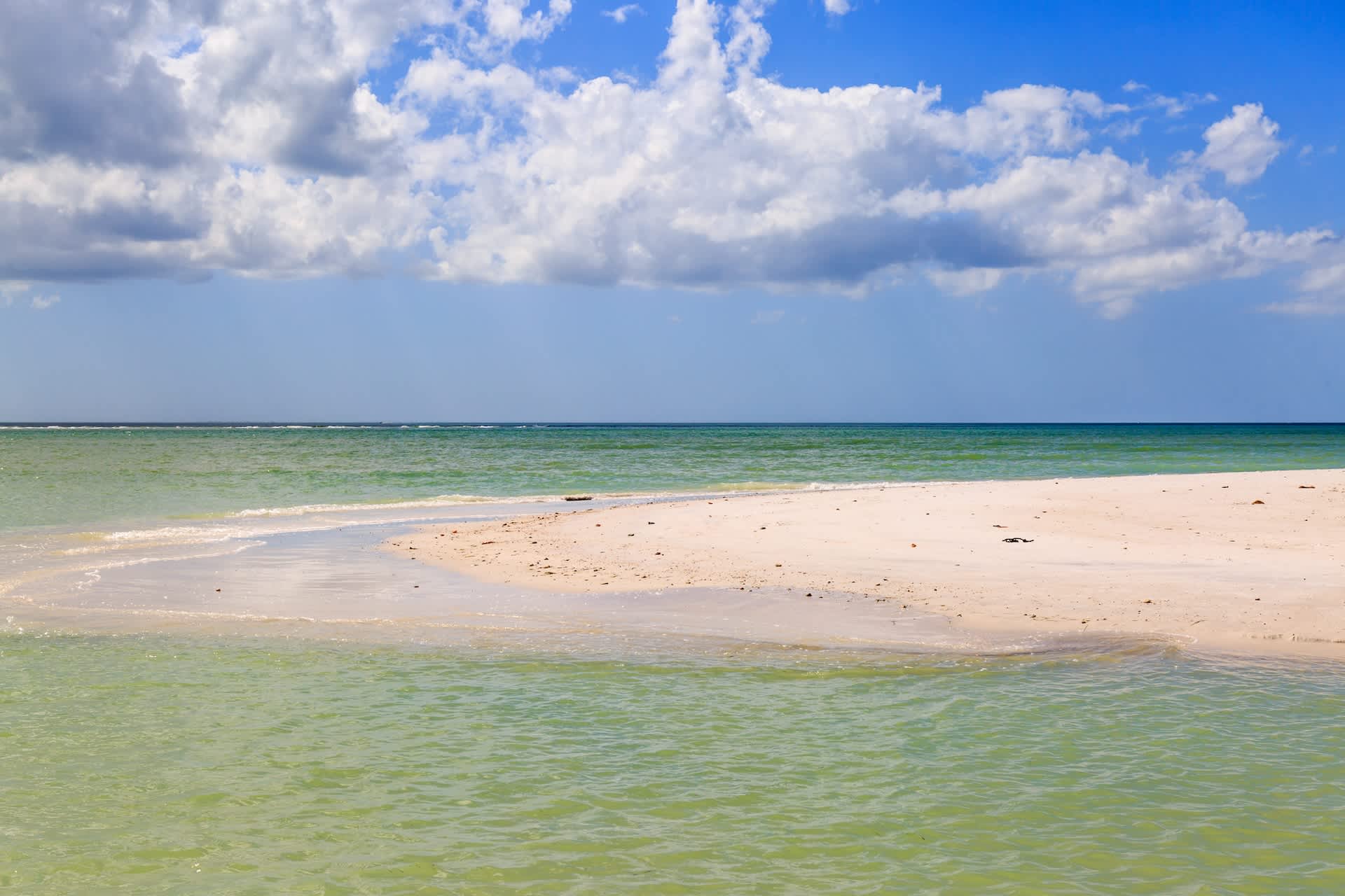 Onlookers stunned by discovery after pulling up to 'commotion' off US coast: 'It was an experience I will never forget'