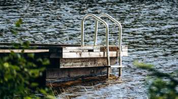 Scientists say that a European green crab invasion linked to warming waters is causing concern for Quebec's coastal ecosystems.