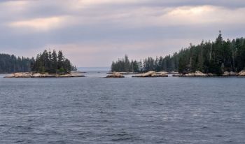 A small but growing group of scientists is exploring ocean-based carbon geoengineering, which involves adding chemicals to make oceans less acidic.