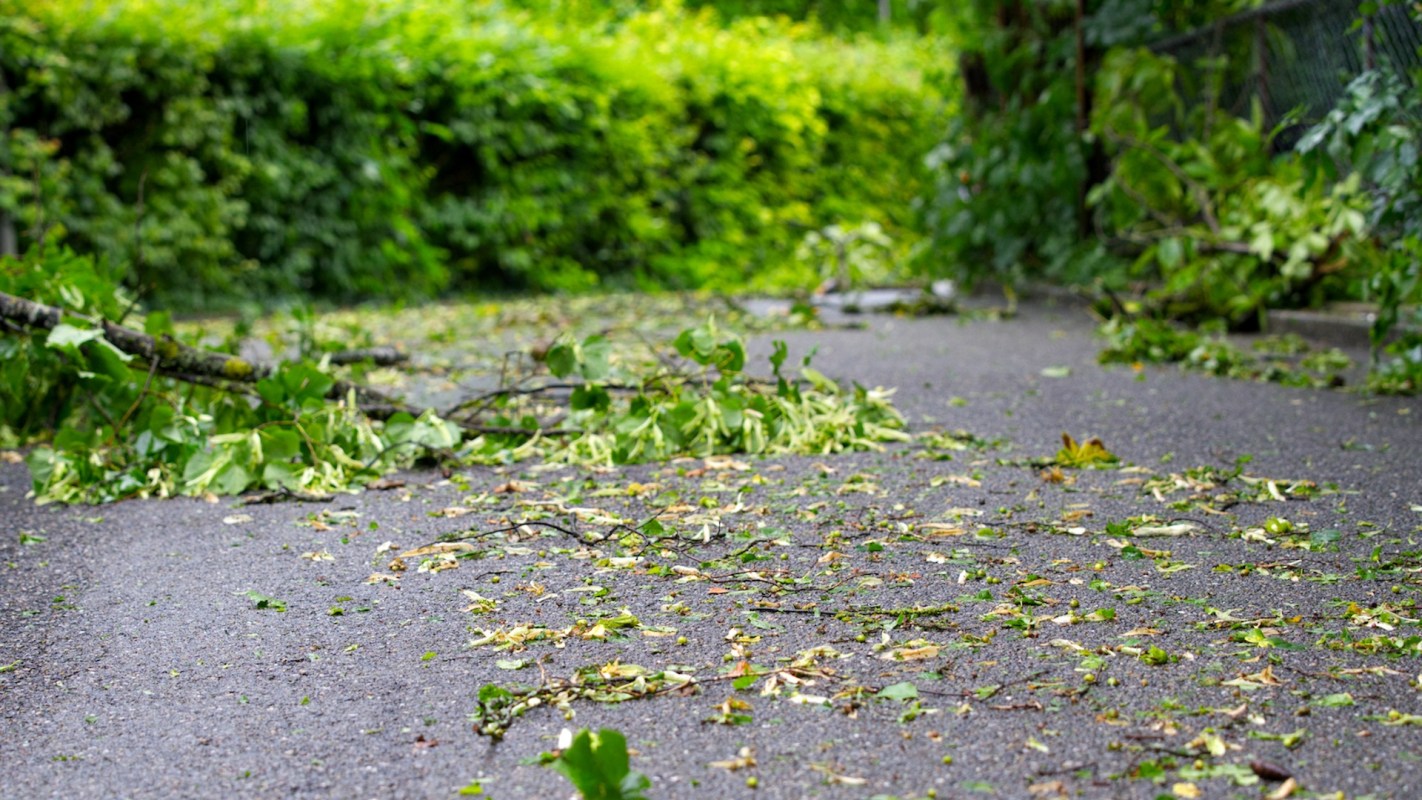 One Redditor's experience of their neighbor committing malicious damage to their property was shared.