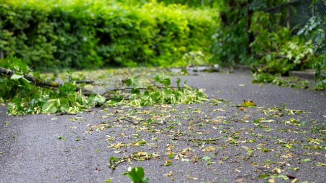 One Redditor's experience of their neighbor committing malicious damage to their property was shared.