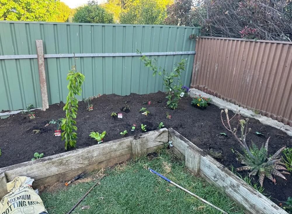 One amateur gardener over at r/GardeningAustralia was thrilled to witness the progress of his amazing vegetable patch.