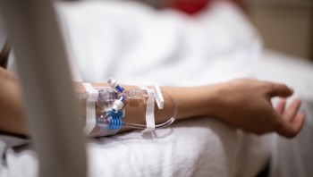 Experts have warned that the warming climate has allowed tick populations to expand, causing an increase in tick-borne diseases.