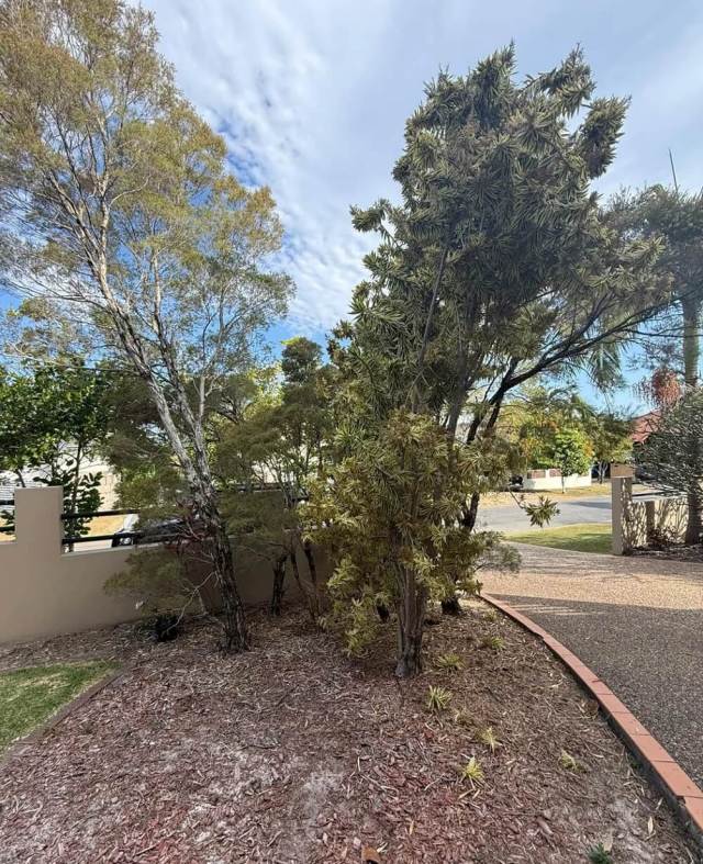 An Australian gardener transformed a sad patch of dirt into a stunning native plant retreat — then asked for watering tips on Reddit.
