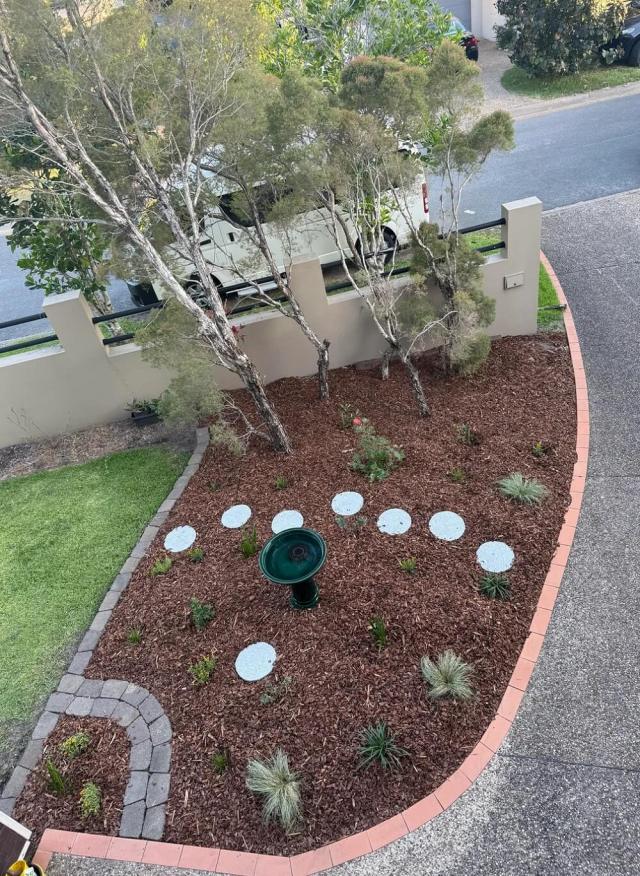 An Australian gardener transformed a sad patch of dirt into a stunning native plant retreat — then asked for watering tips on Reddit.