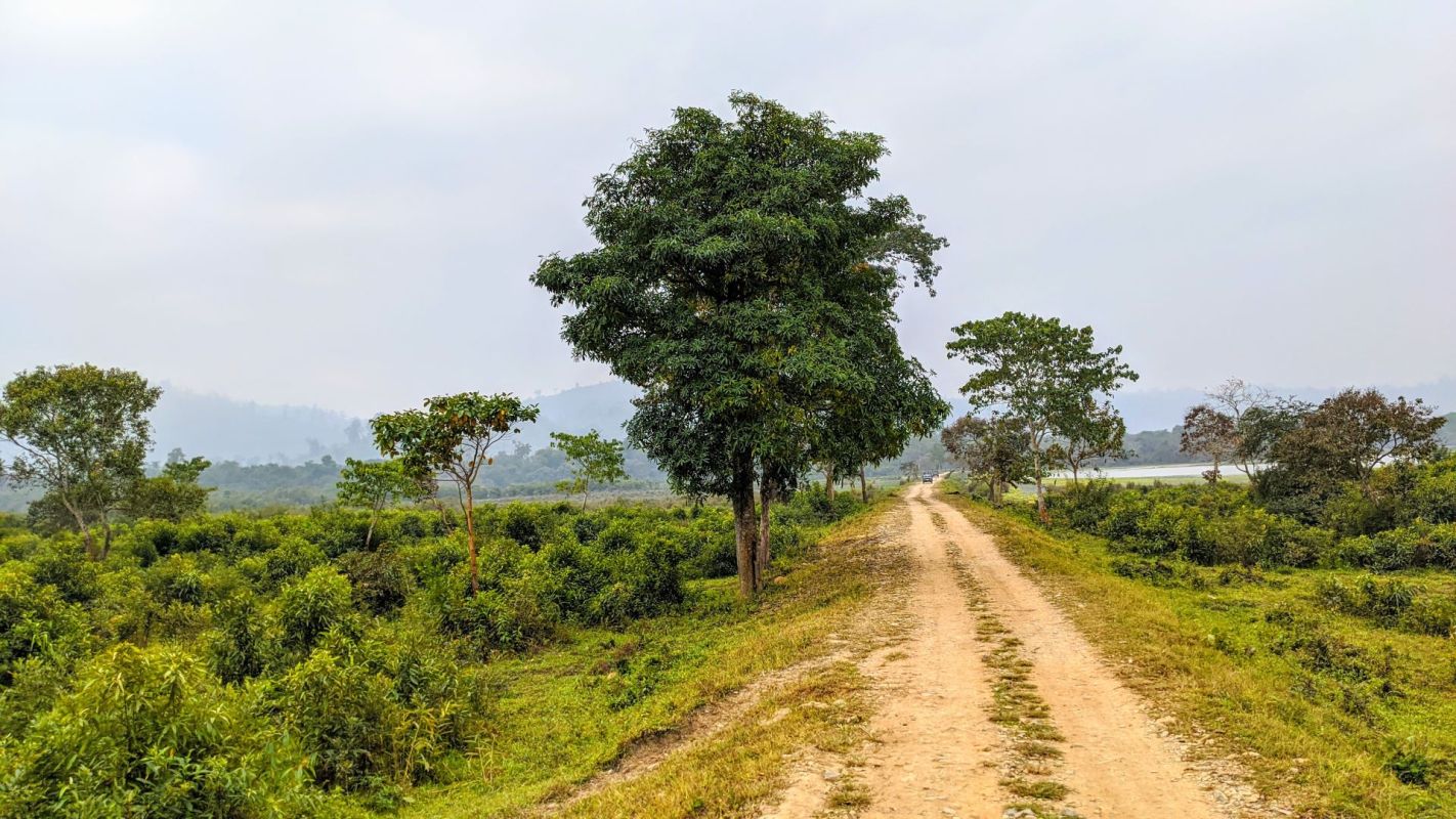 Conservation efforts in India have been undermined by human-wildlife conflicts.
