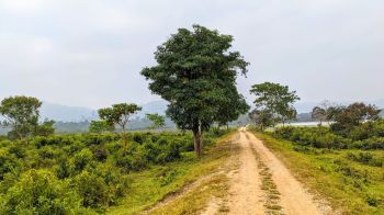 Conservation efforts in India have been undermined by human-wildlife conflicts.