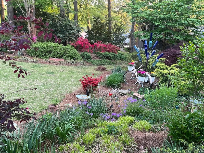 One Redditor showed how the "Progress, not Perfection" mindset can pay off with your lawn.
