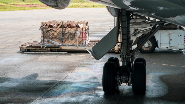 A full-scale study evaluating Madagascar's lemur meat industry just revealed a massive and hidden trade.