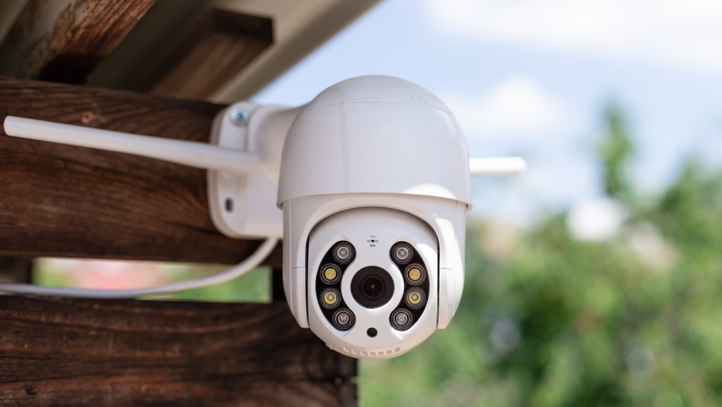 One Redditor was shocked to discover a burrowing crayfish in their garden bed and shared the experience on the r/Permaculture subreddit.