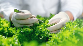 Researchers propose a game-changing method to protect crops from pests.