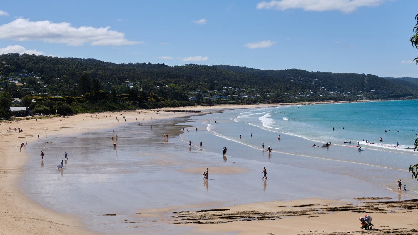 Sightings of sharks off the Surf Coast in Victoria, Australia, have increased, with Lorne Beach being the most recent location to witness one.