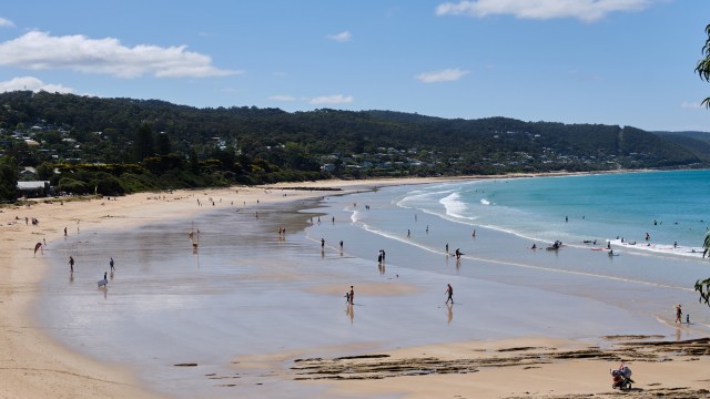 Sightings of sharks off the Surf Coast in Victoria, Australia, have increased, with Lorne Beach being the most recent location to witness one.