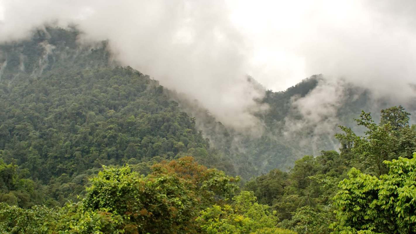 Indonesian authorities are moving forward with a major environmental case after uncovering an illegal coal mining operation hidden inside a protected forest.