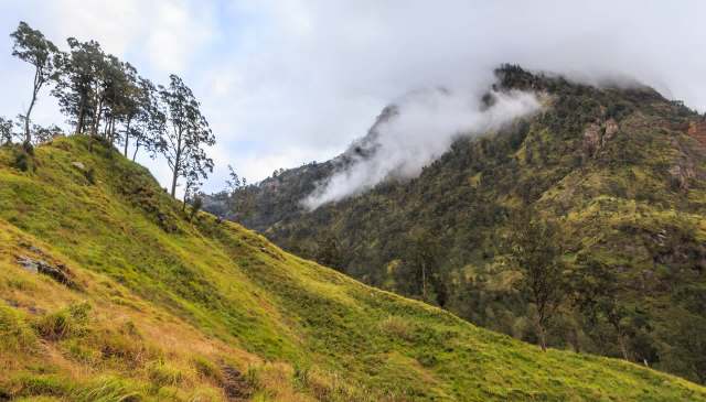 Government officials in Indonesia have launched a crackdown after uncovering widespread illegal gold mining deep inside a protected forest area.