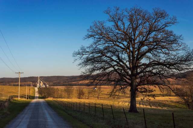 A Missouri homeowner drew widespread attention online after discovering that dozens of mature trees had been illegally cut down on their property.