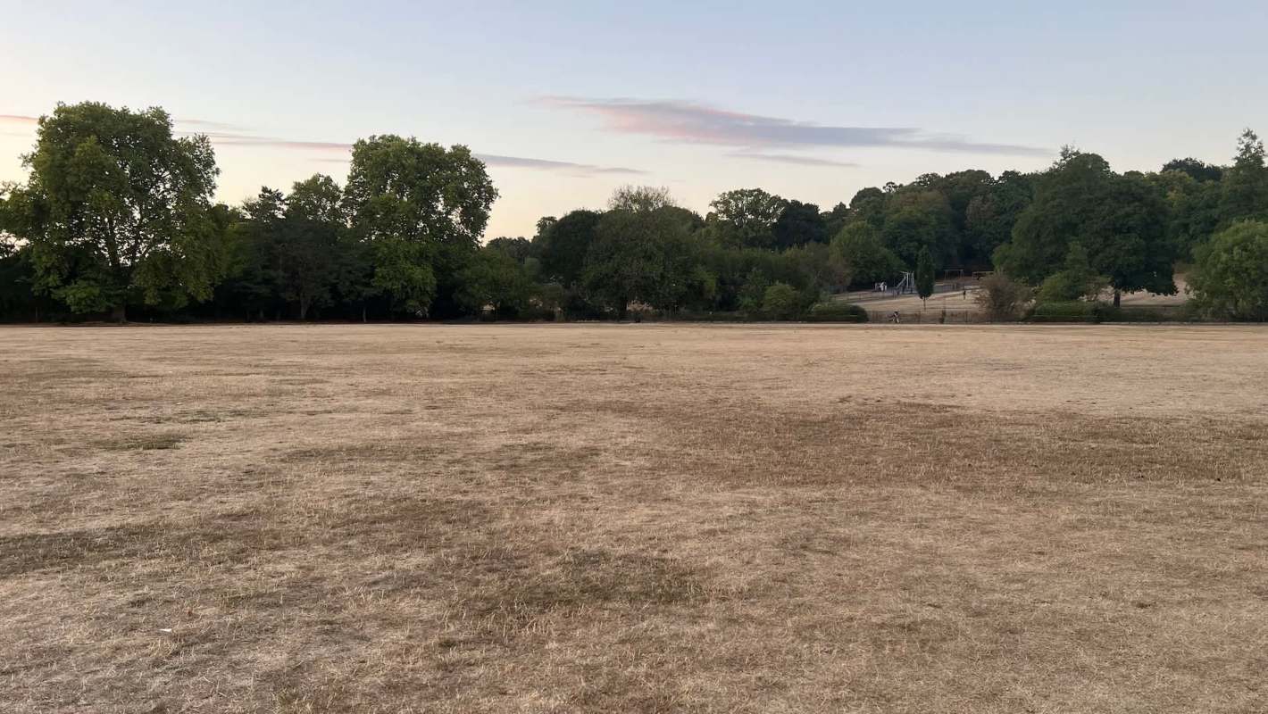 An illegal waste dumping operation in Bromley, a town in Greater London, was shut down thanks to the Bromley Council's Neighbourhood Investigation Officers.