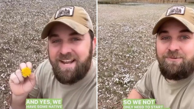 Conservationist and forester Kyle Lybarger took to Instagram to explain the importance of native spring beauties.