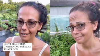 One gardener learned the hard way that you should never add mint to your compost.