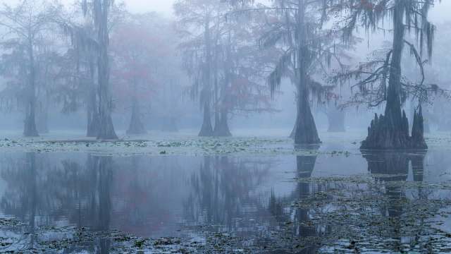 The Wolfberry Whooping Crane Sanctuary will provide a vital wintering ground for the 550 cranes that migrate each winter to Texas from Canada.