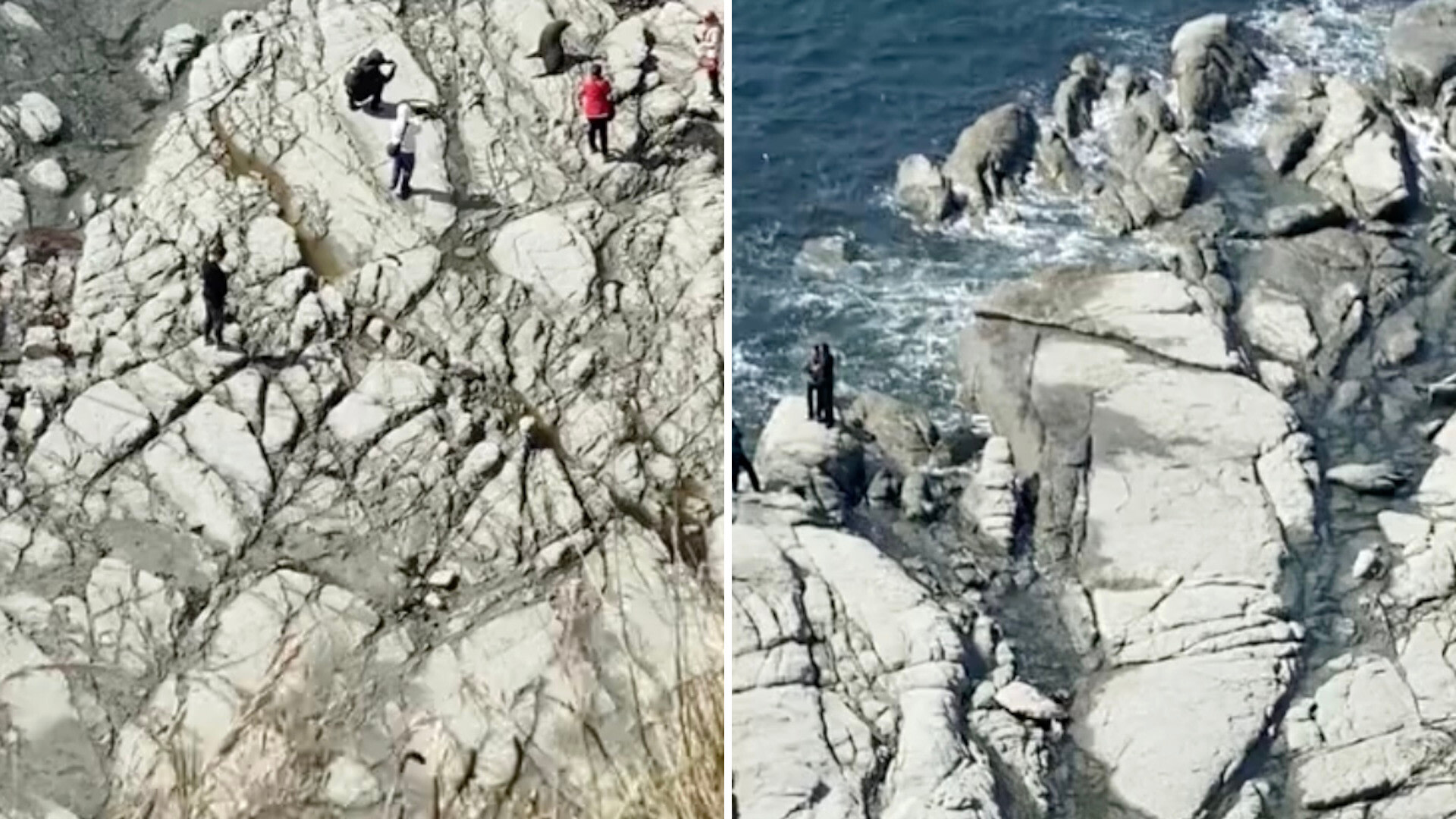 Tourists get harsh wake-up call after being filmed provoking wildlife: 'This makes me furious'