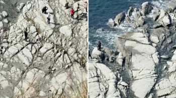A video showing tourists standing dangerously close to a seal has sparked backlash on TikTok.
