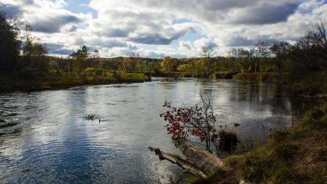 A Michigan conservationist has an innovative proposal for fighting invasive species: turn them into food.