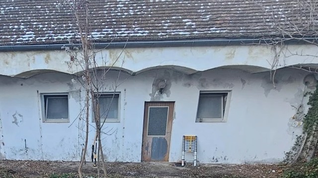 Reddit user was left with a ground filled with decades-old ivy after clearing six-foot-high bushes out of the area.
