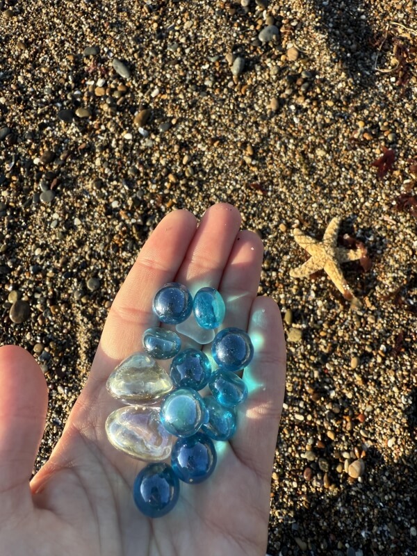 Researchers in India's Dudhwa Tiger Reserve spotted a rare rainbow water snake.