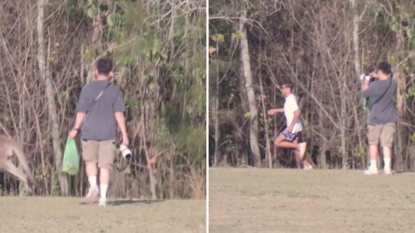 A Reddit user in Australia shared a video in the r/queensland subreddit to highlight the potential dangers of chasing kangaroos.