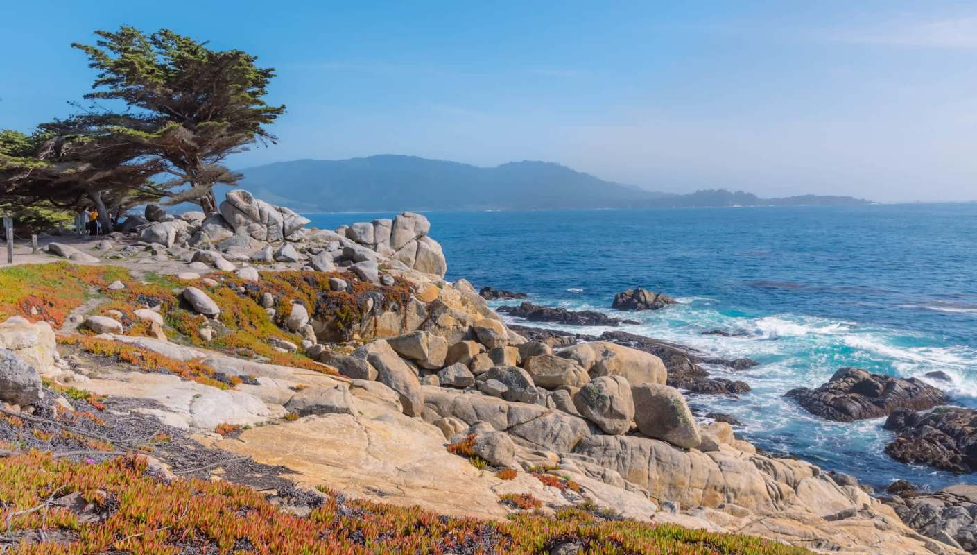 Scuba divers on the California coast came across a rare, exotic fish in the shallow waters of the Pacific.