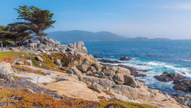 Scuba divers on the California coast came across a rare, exotic fish in the shallow waters of the Pacific.