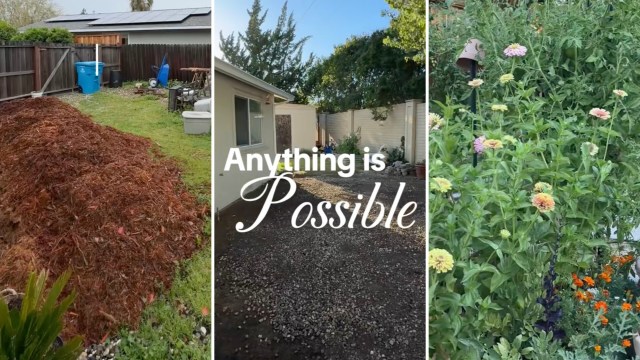 One California homeowner put in the work to transform their struggling lawn into a gorgeous kitchen garden.