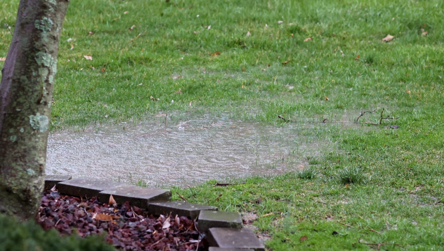 According to landscape horticulturalist Ross Cameron, your best defense against flooding is your backyard.