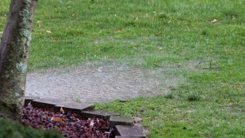 According to landscape horticulturalist Ross Cameron, your best defense against flooding is your backyard.
