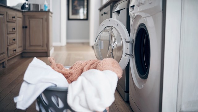 Researchers found that polyester microfibers are interfering with the growth of tomato plants.