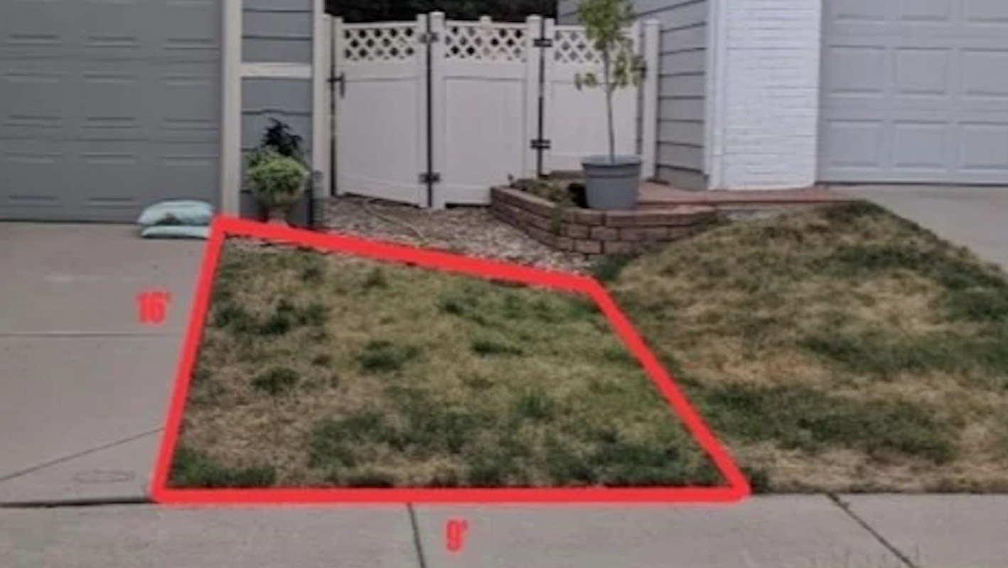 One Colorado homeowner got their HOA's approval for native plant lawns.