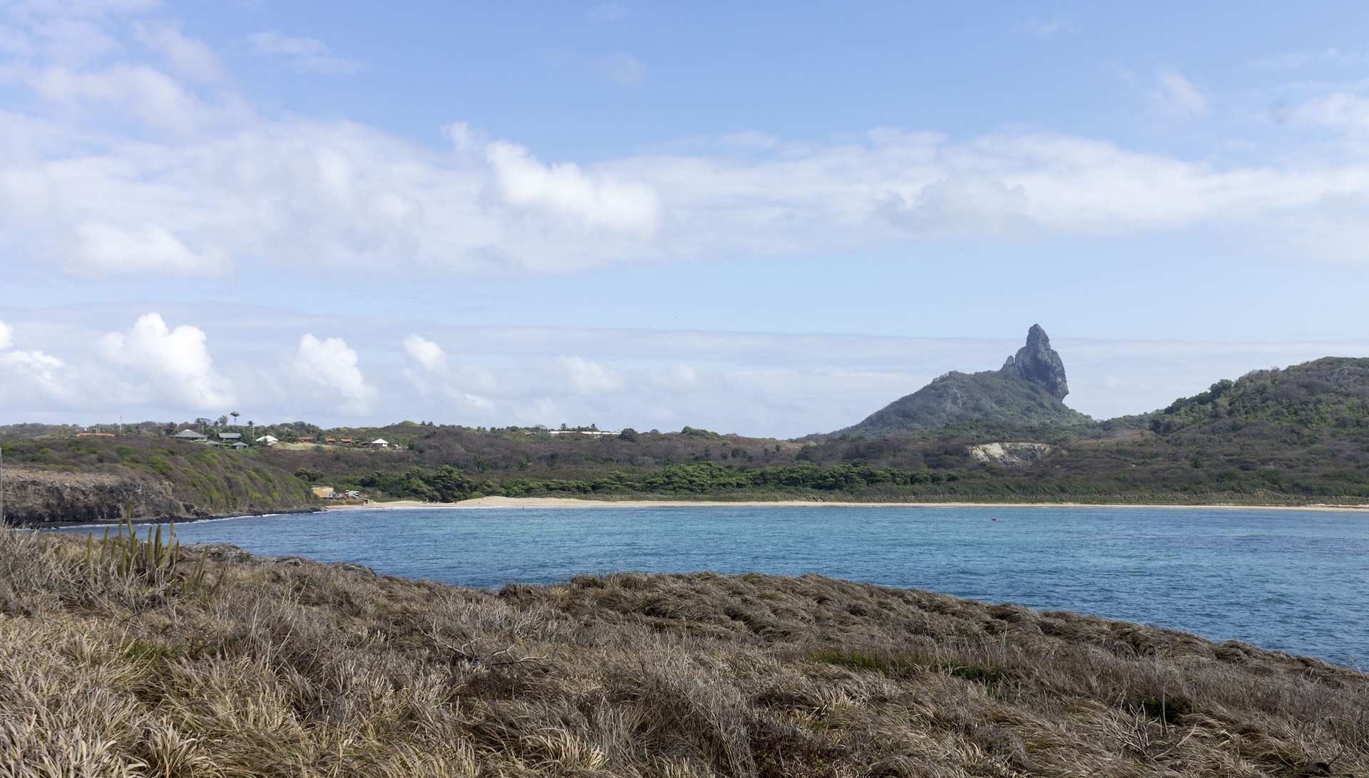 Scientists make remarkable observation in foreign waters: 'We don't know if there were fewer ... or if they simply disappeared'
