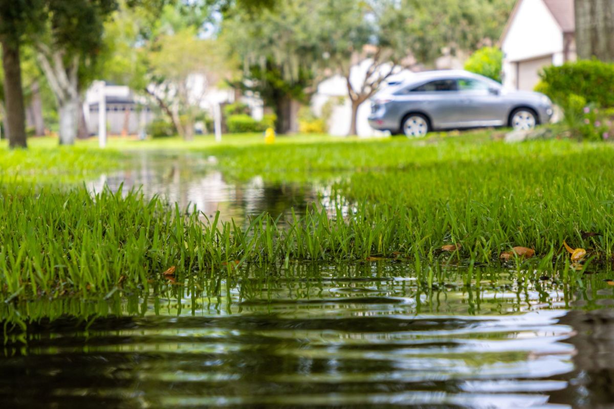 A frustrated California homeowner shared their battle with HOA negligence, noting that it repeatedly delayed fixing a sprinkler system.