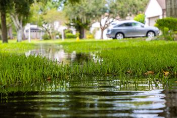 A frustrated California homeowner shared their battle with HOA negligence, noting that it repeatedly delayed fixing a sprinkler system.